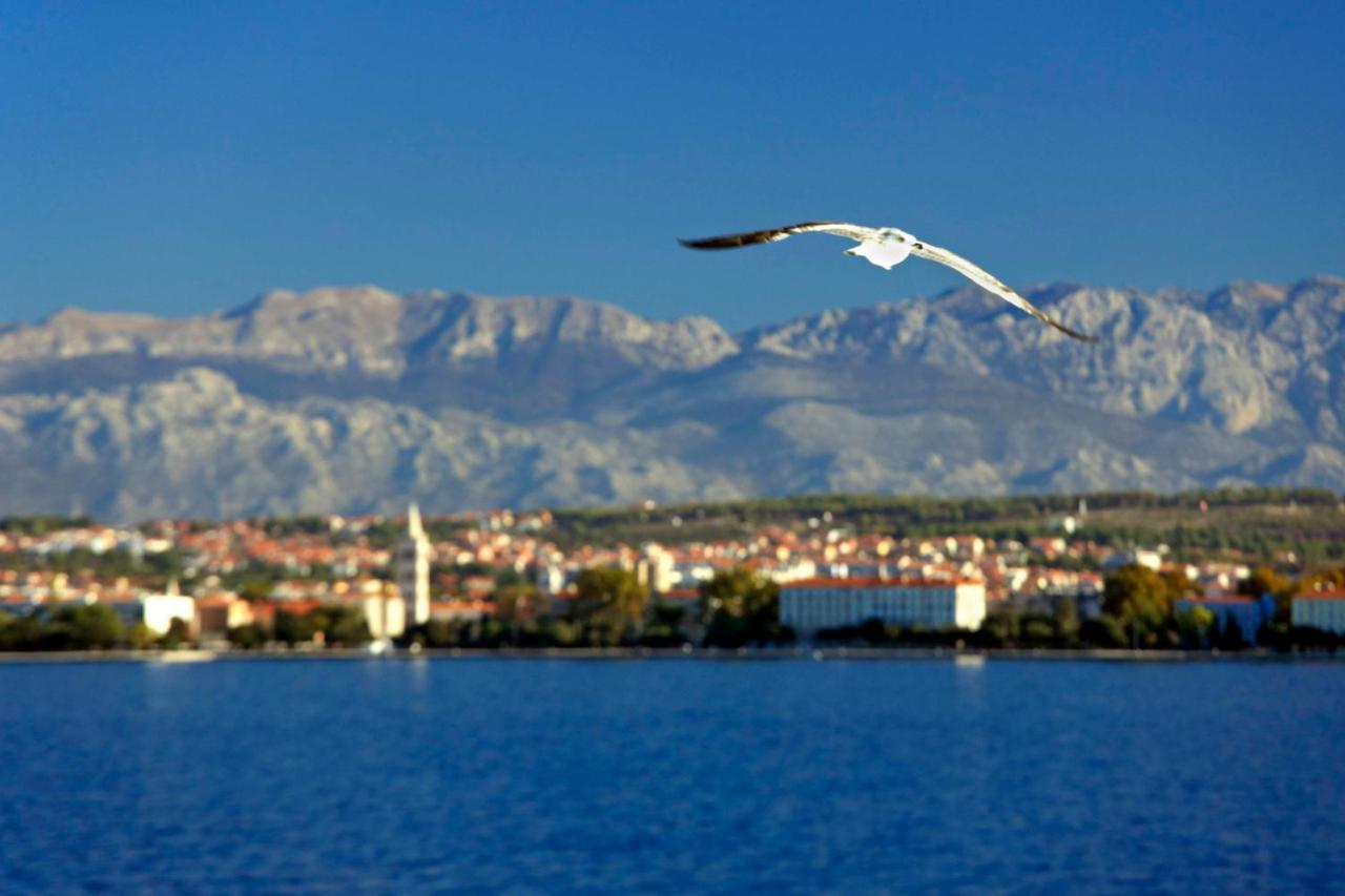Kuki Apartment With Balcony Ζαντάρ Εξωτερικό φωτογραφία